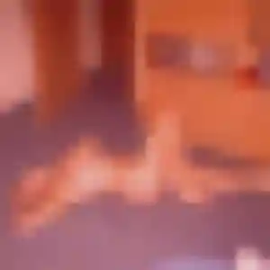 Ninon, 19 ans, dispo pour rencontre adulte à Bollène