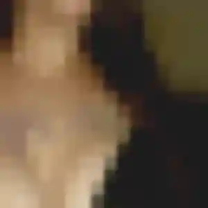 Delia, 37 ans, cherche un rencontre adulte à Bourg-lès-Valence