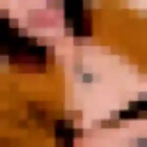 Photo perso de Marie-Therese, 43 ans à Bressols - rencontre sans lendemain