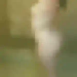 Profil de Muriel à Brives-Charensac (32 ans) - rencontre adulte gratuit