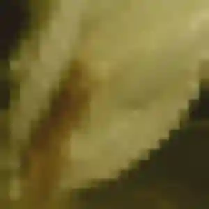 Photo privée de Zephyrine, 41 ans à Castelsarrasin - rencontre sans lendemain