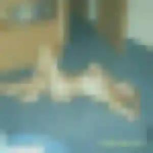 Jade, 25 ans, dispo pour rencontre adulte à Cruseilles