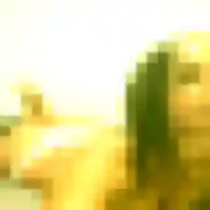 Jolie Kawtar, 43 ans à Échirolles - voir sa photo