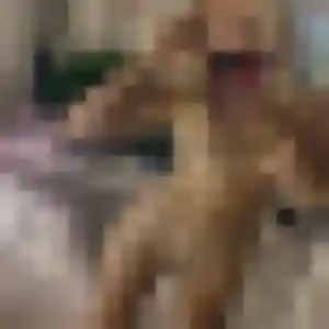 Romane, 33 ans, dispo pour rencontre adulte à Fillinges
