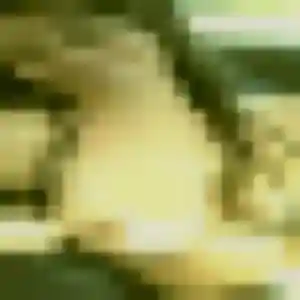 Profil de Sofia à Fontanil-Cornillon (21 ans) - rencontre adulte anonyme