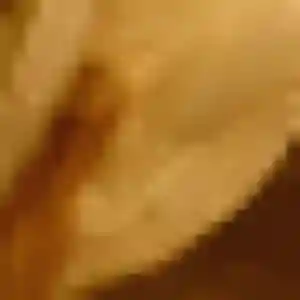 Samantha, 37 ans, en ligne à Frouzins pour une rencontre coquine