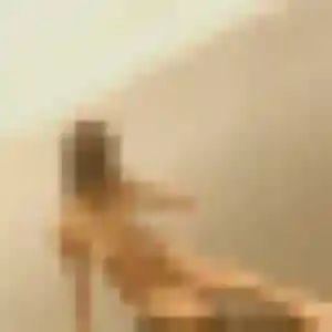 Photo exclusive de Colombe, 29 ans à Genilac - rencontre sans lendemain