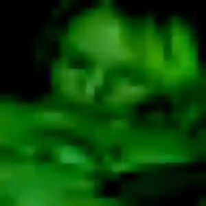 Photo exclusive de Daphne, 19 ans à Gerzat - rencontre sans lendemain