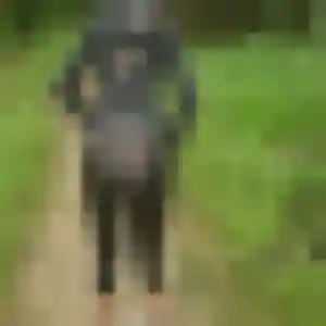Sexy Priscilla, 32 ans à Gignac-la-Nerthe - voir sa photo