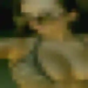 Photo de Elodie à Gourdon (45 ans) - rencontre adulte sans inscription