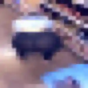 Contacte Laetitia, 34 ans à Grasse en t'inscrivant