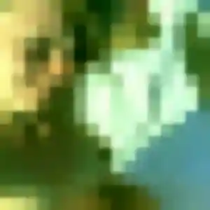 Photo de Ophelie à Grimaud (38 ans) - rencontre adulte sans inscription