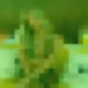 Marie-Jose, 44 ans, connectée à La Buisse pour une rencontre coquine