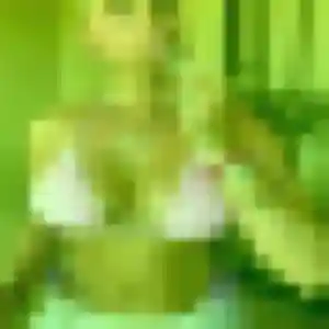 Sexy Dounia, 26 ans à La Cadière-d'Azur - la contacter