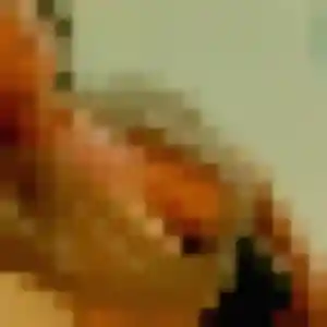 Amira, 25 ans, disponible à La Grand-Combe pour une rencontre coquine