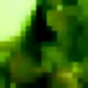 Photo privée de Yasmine, 35 ans à La Roquette-sur-Siagne - plan discret