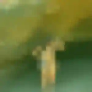 Photo privée de Cecile, 22 ans à Lagnieu - rencontre coquine