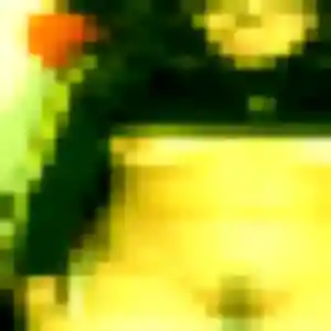 Profil de Christine à Lapalisse (45 ans) - rencontre adulte gratuit