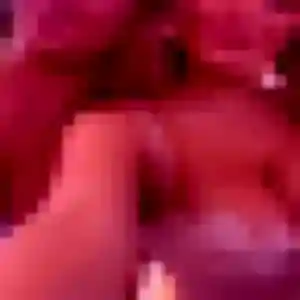 Lisa (23 ans) à Le Cannet-des-Maures propose un rencontre adulte ce soir