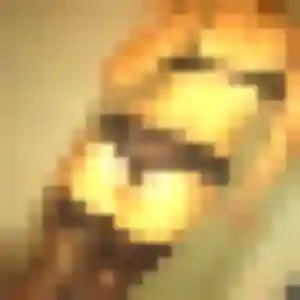Bettina, 28 ans, disponible à Le Péage-de-Roussillon pour un rencontre adulte