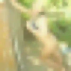 Photo privée de Olympe, 38 ans à Lescure-d'Albigeois - rencontre coquine