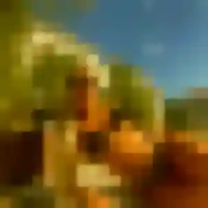 Profil de Dina à Mougins (35 ans) - rencontre adulte discret