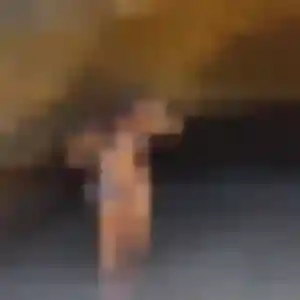 Laura (25 ans) à Peypin propose une rencontre ce soir