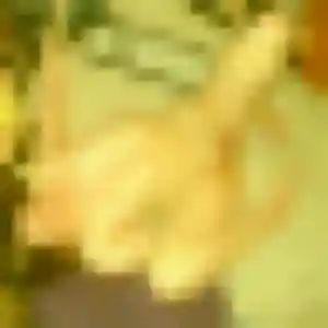 Photo perso de Sixtine, 22 ans à Pignans - plan discret
