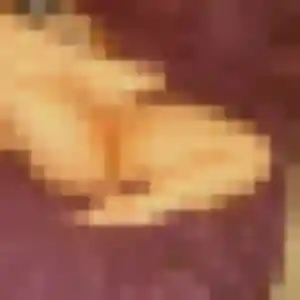 Apolline, fille de 22 ans cherche rencontre adulte à Portet-sur-Garonne