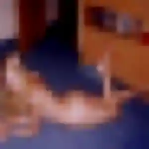 Photo privée de Lise, 30 ans à Puygouzon - rencontre coquine