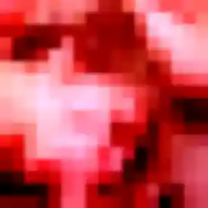 Candice, 30 ans, disponible à Riom pour une rencontre coquine