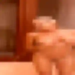 Yasmina, 36 ans, connectée à Saint-Alban-Leysse pour un rencontre adulte