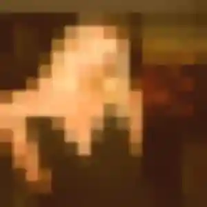 Ulrike, 26 ans, cherche un rencontre adulte à Saint-Cyr-sur-Mer