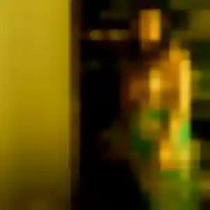 Leila, femme de 20 ans cherche rencontre adulte à Saint-Étienne-de-Saint-Geoirs