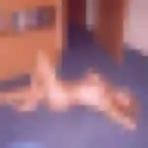 Photo perso de Daphne, 34 ans à Saint-Pierre-d'Albigny - rencontre coquine