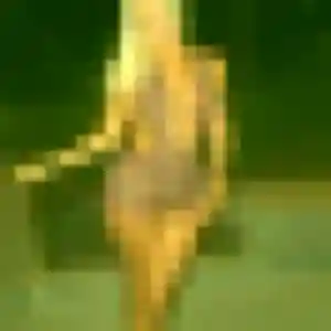Photo de Candice à Sainte-Sigolène (43 ans) - rencontre adulte discret