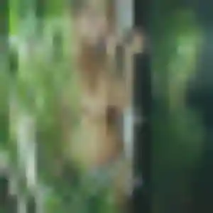 Hilary, 45 ans, cherche un rencontre adulte à Saverdun