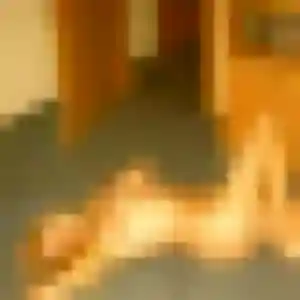 Eva de Signes, 26 ans - rencontre adulte discret