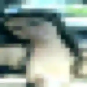 Xaviere (20 ans) à Simiane-Collongue cherche une rencontre rapidement