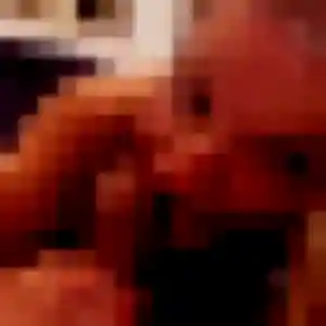 Olympe, femme de 36 ans veut rencontre adulte à Tain-l'Hermitage