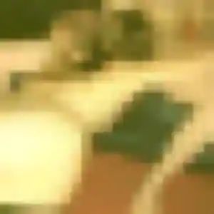 Ines, fille de 31 ans propose rencontre adulte à Villelongue-de-la-Salanque