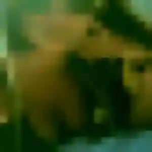 Photo privée de Albane, 21 ans à Viviers - rencontre sans lendemain